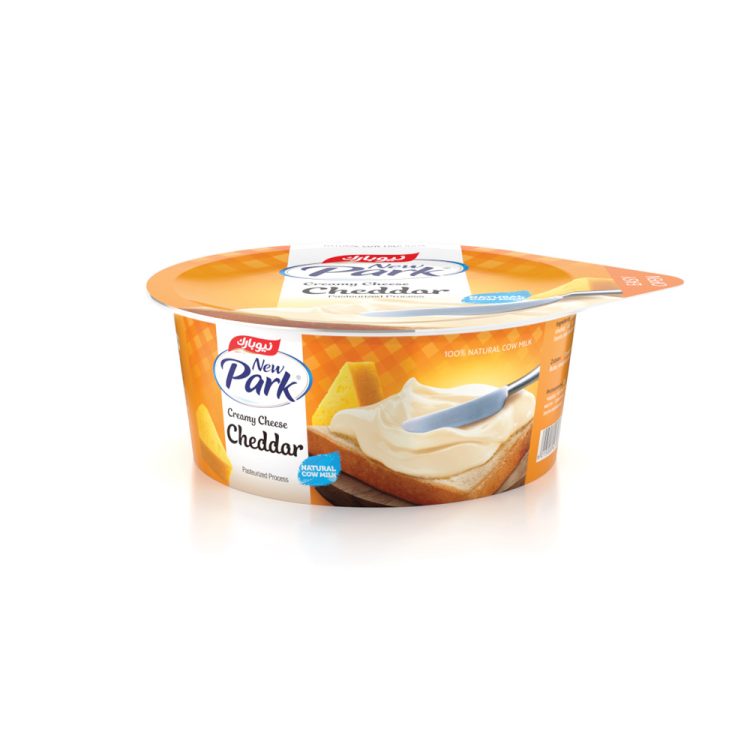 Creamy Cheese Cheddar 90g